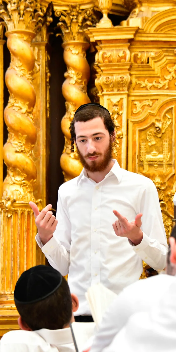 A talmid explaining a sugya before the carved golden aron kodesh of Ponevez