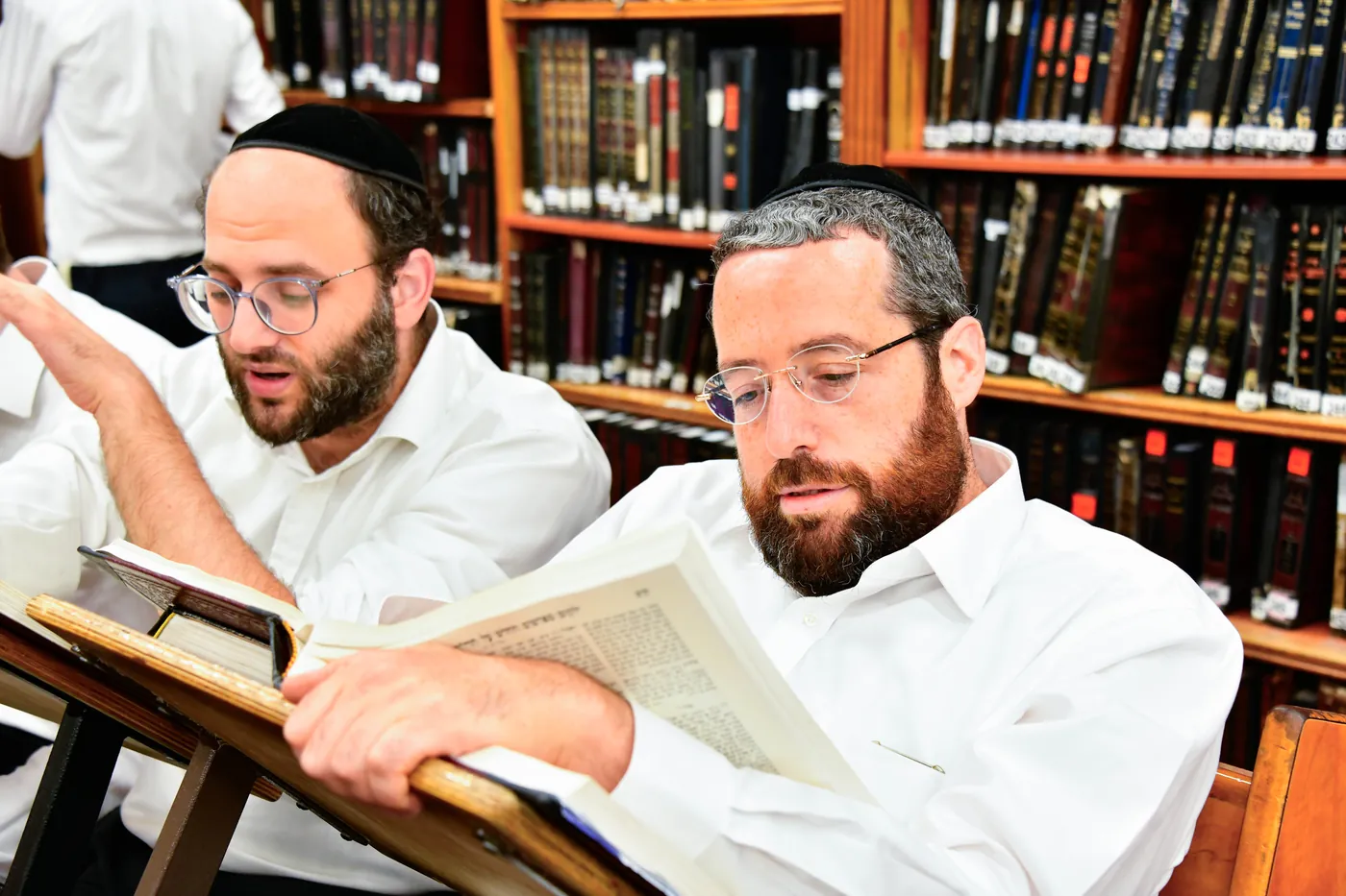 Two talmidei chachamim learning together over a gemara in the Ponevez beis medrash
